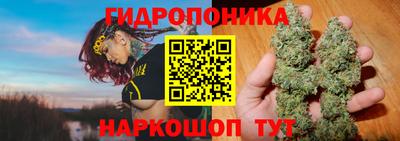 дмт Мариинск