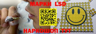 мяу мяу мука Малгобек
