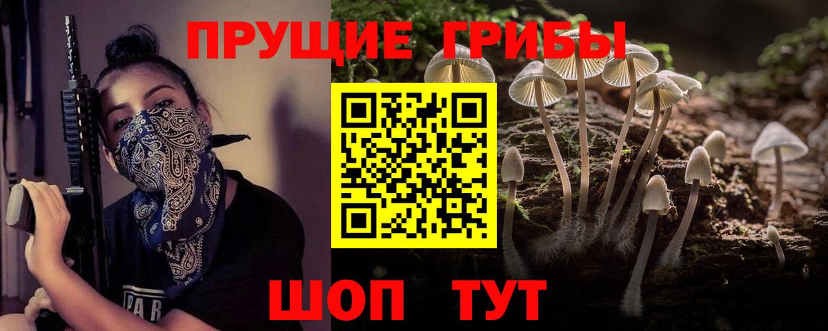 Псилоцибиновые грибы GOLDEN TEACHER  Галлюциногенные грибы мицелий  Электросталь  Вход с VPN 