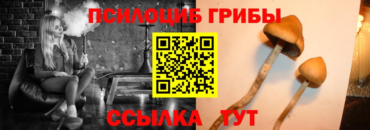 Галлюциногенные грибы прущие грибы Электросталь